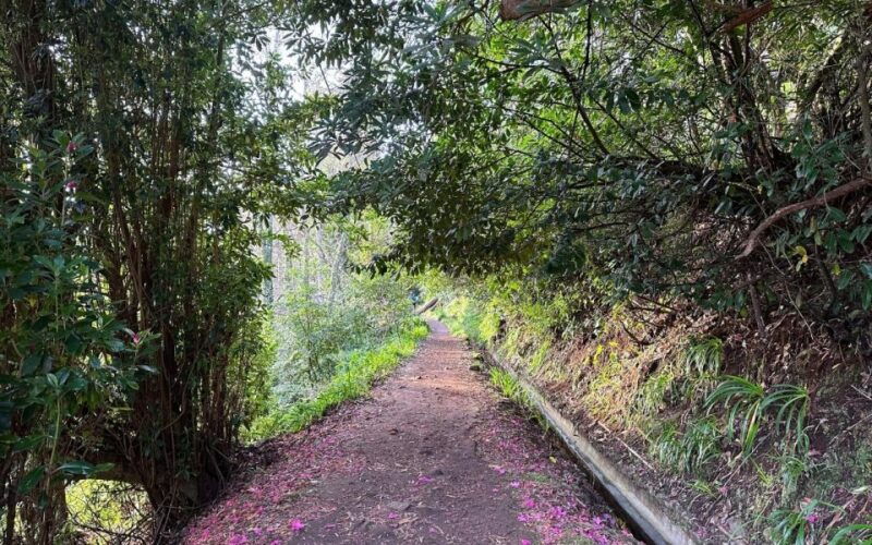 discover-the-paradise-valley-a-quick-escape-for-everyone