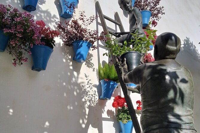 discover-the-patios-de-cordoba-guided-tour