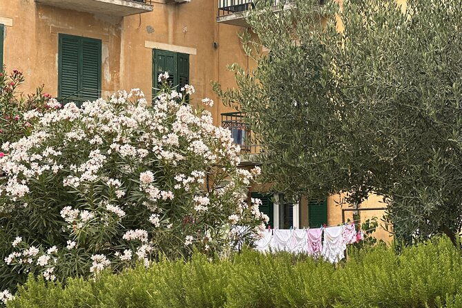 discover-the-pulse-of-split-with-a-local-storyteller