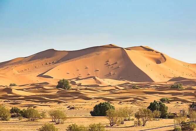 Discover the Sahara: A 4-Day Private Journey to Merzouga - Practical Insights and Value