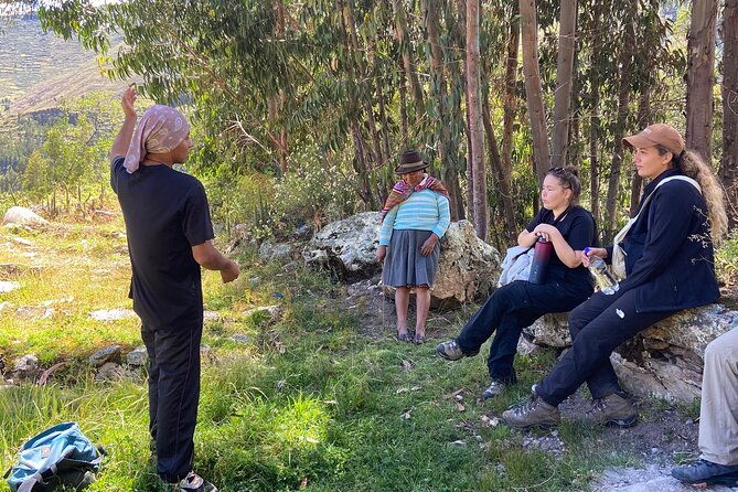 discover-the-secrets-of-andean-nature-in-pisac