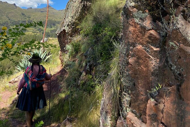 discover-the-secrets-of-andean-nature-in-pisac