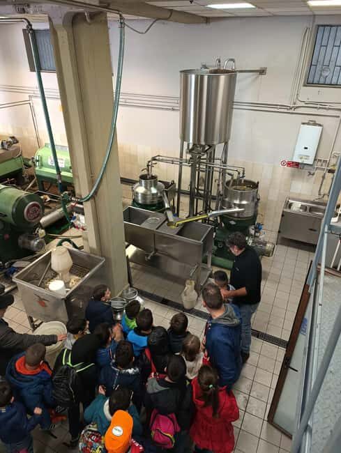 Discover the Secrets of Olive Oil: Oil Mill Tour and Tasting Experience - Transportation and Accessibility  