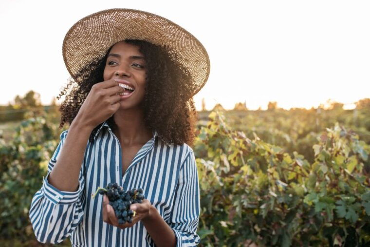 discover-the-secrets-of-wine-in-the-algarve