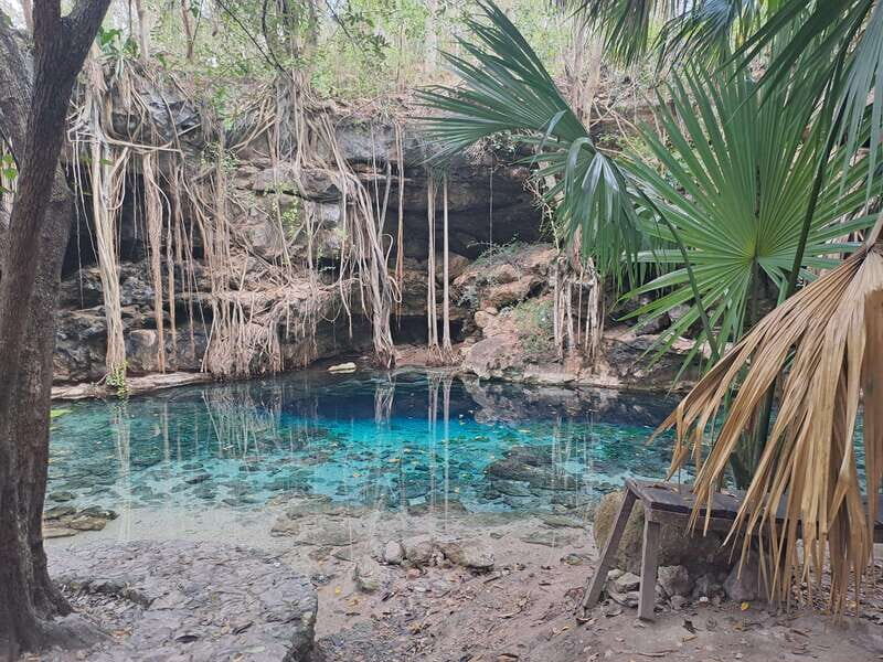 Discover the Serenity: A Tour of the Hidden Cenotes - Key Points