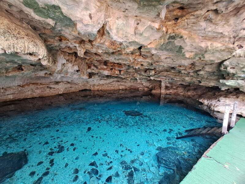 Discover the Serenity: A Tour of the Hidden Cenotes - What makes this tour stand out?