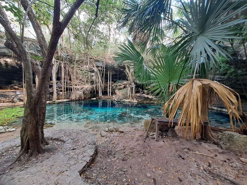Discover the Serenity: A Tour of the Hidden Cenotes - Practical Details and Tips