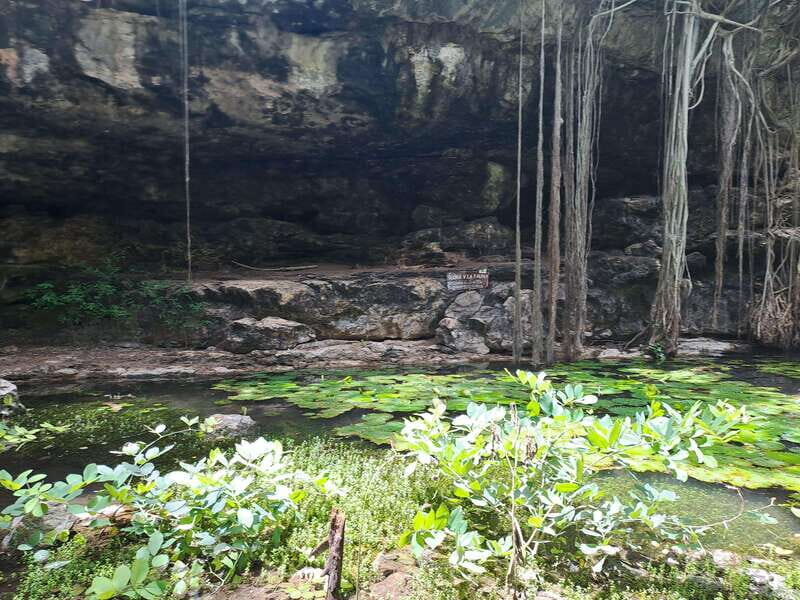 Discover the Serenity: A Tour of the Hidden Cenotes - Why Choose This Tour?