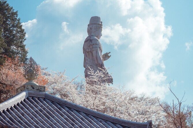 Discover the Timeless Charm and Natural Beauty of Nara - Who Is This Tour for?