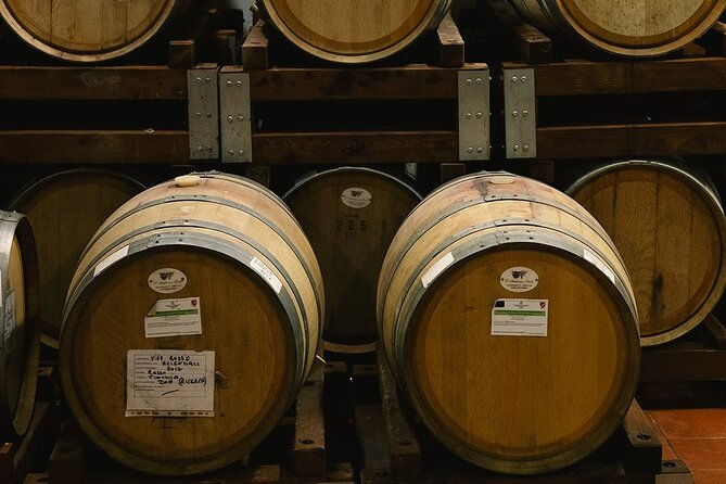 discover-the-true-tintilia-of-molise-authentic-and-excellent