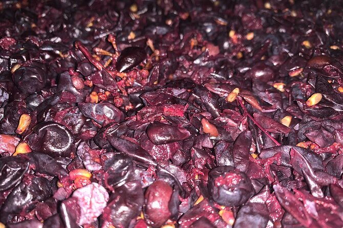 discover-the-true-tintilia-of-molise-authentic-and-excellent