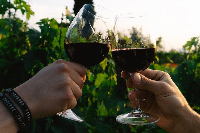 discover-the-true-tintilia-of-molise-authentic-and-excellent