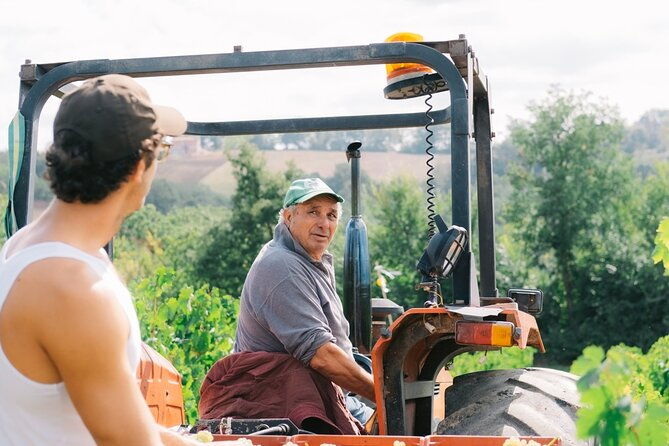 discover-the-true-tintilia-of-molise-authentic-and-excellent