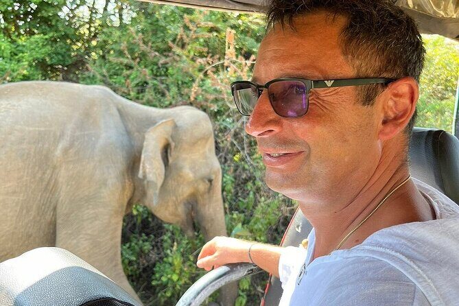 Discover the Wild Magic of Udawalawe National Park - An In-Depth Look at the Tour Experience