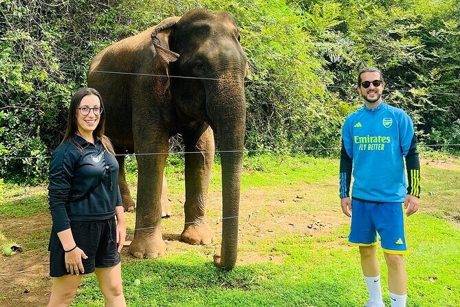 Discover the Wild Magic of Udawalawe National Park - Practical Tips for Your Safari