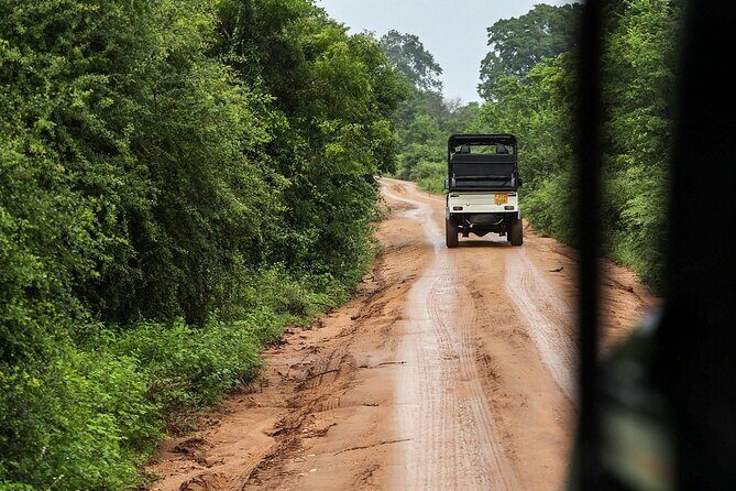 Discover the Wild Magic of Udawalawe National Park - Who Will Love This Tour?