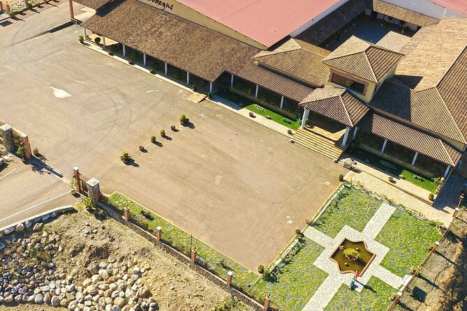 discover-the-winery-and-taste-fine-wine-in-extremadura