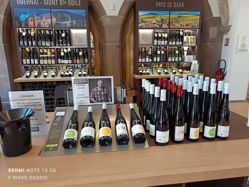 Discover the Wines of Alsace and a brief introduction to Strasbourg. - What Makes This Tour Special?