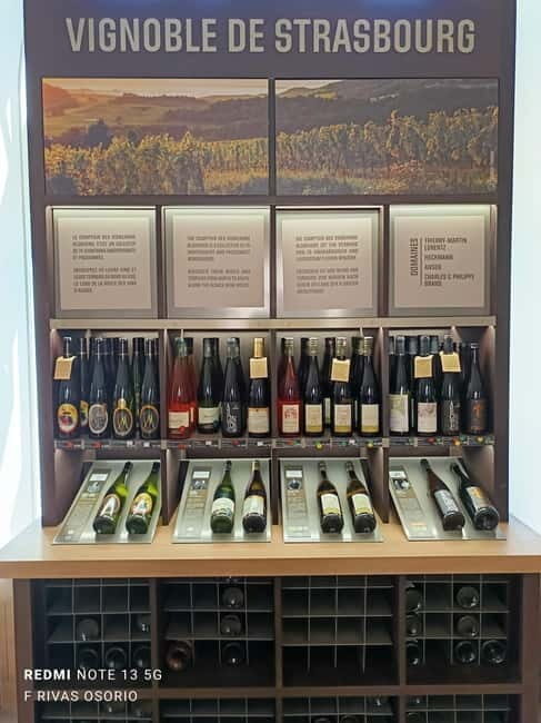Discover the Wines of Alsace and a brief introduction to Strasbourg. - Final Thoughts: Who Should Consider This Experience?
