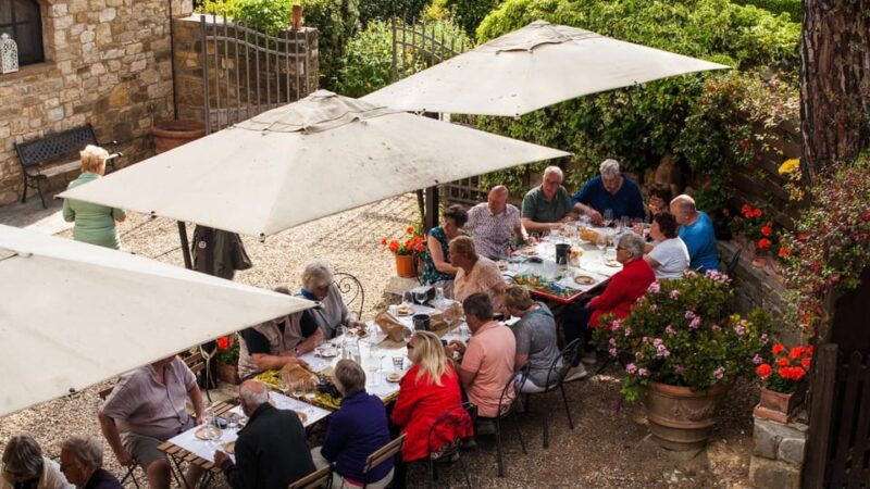 discover-the-wines-of-chianti-classico-with-a-tasting-at-viticcio