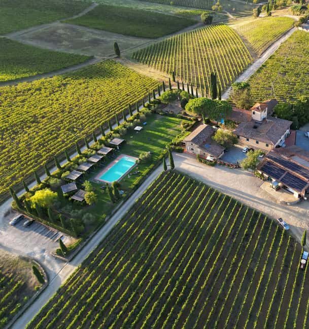 Discover the wines of Chianti Classico with a visit and tasting at Viticcio. - Final Thoughts: Is It Worth It?  