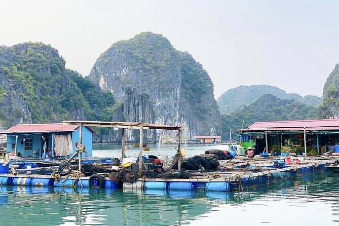 Discover The Wonders Of Lan Ha Bay With D'Charme Luxury Cruise - FAQ