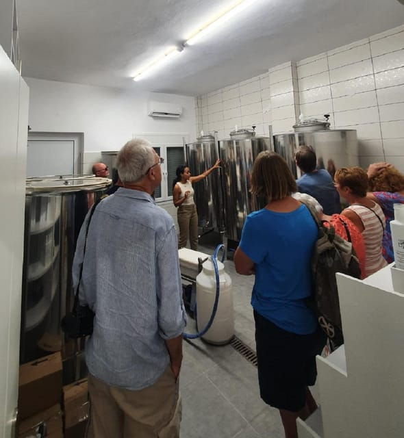 discover-the-world-of-extra-virgin-olive-oil