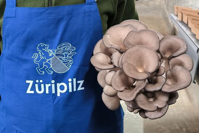 discover-the-world-of-mushrooms