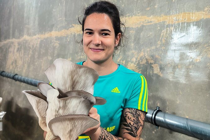discover-the-world-of-mushrooms