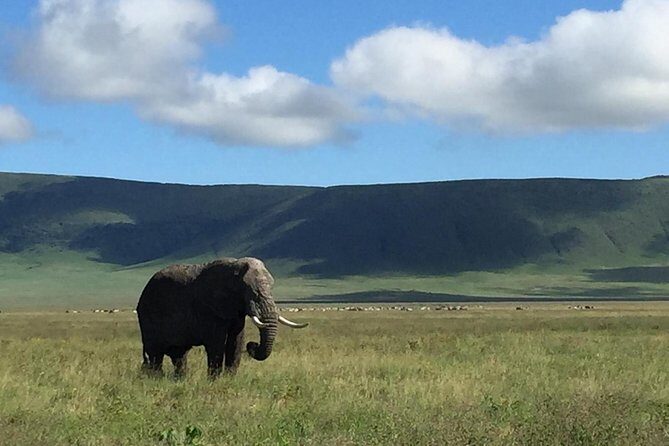 Discover The World's Top Best 4-day Tanzania Group Camping safari - Why This Safari Stands Out