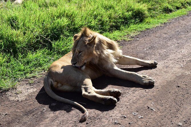 Discover The World's Top Best 4-day Tanzania Group Camping safari - Authenticity and Experience