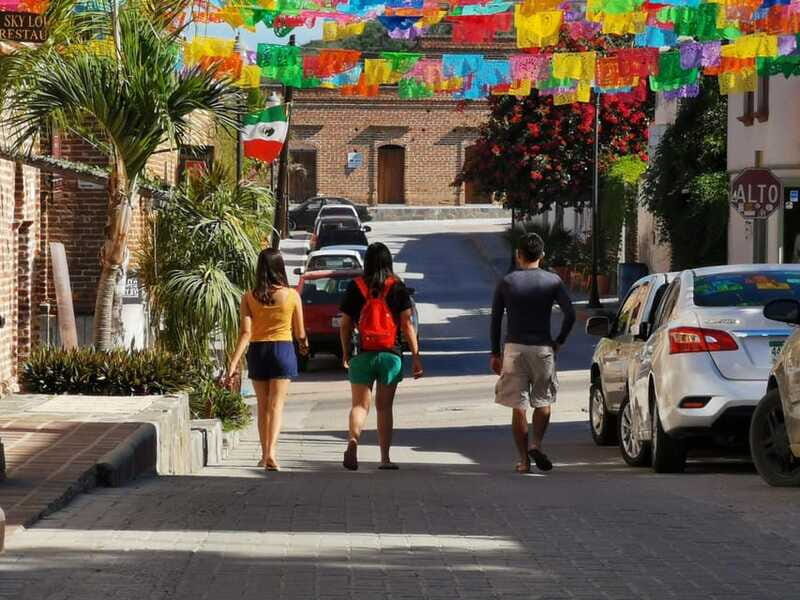 Discover Todos Santos: A Private Journey Through Culture. - Overall Value and Suitability