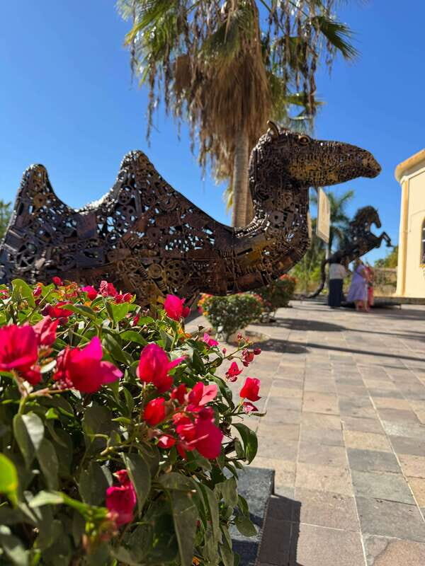 Discover Todos Santos: A Private Journey Through Culture. - Final Thoughts