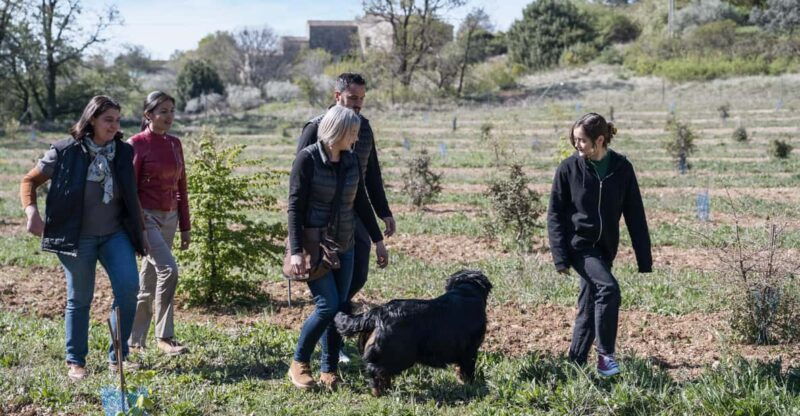 discover-truffles-from-the-farm-to-the-fork