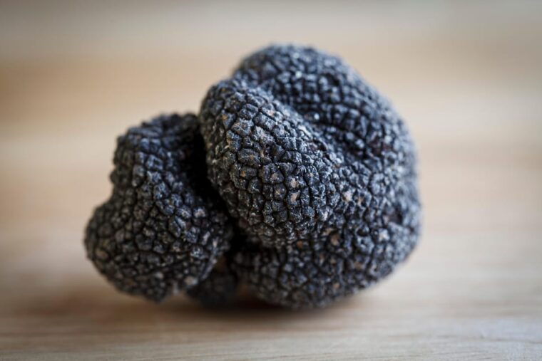 discover-truffles-from-the-farm-to-the-fork