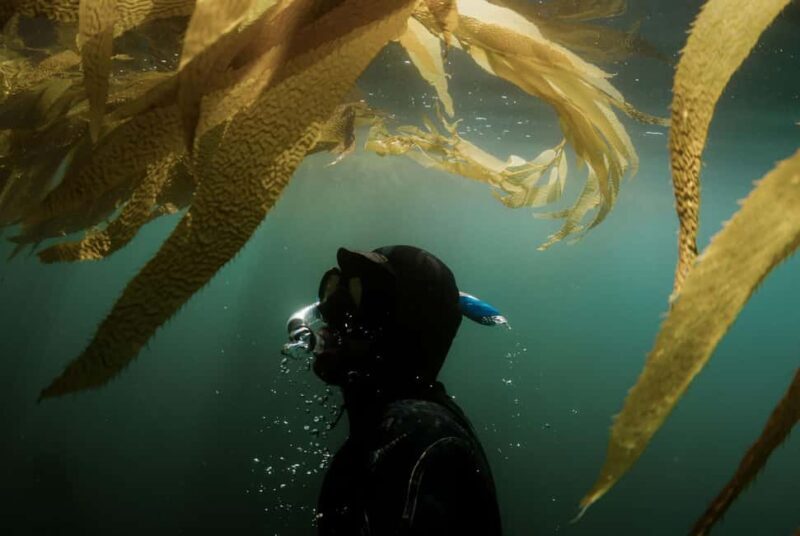 Discover Tumbatu Island: Private Snorkeling Adventure - FAQs