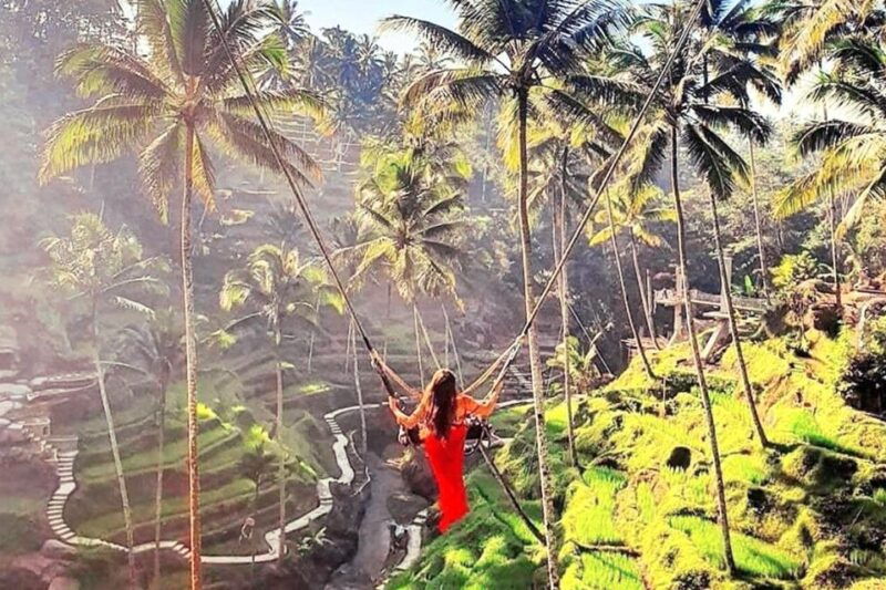 discover-ubud-tailored-private-tour-with-top-highlight