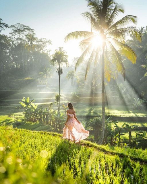 discover-ubud-tailored-private-tour-with-top-highlight