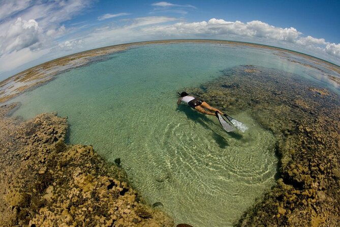 discover-underwater-beauty-explore-maracajaus-parrachos-reef