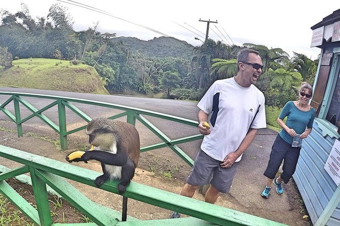 discover-unwind-a-customized-private-tour-experience