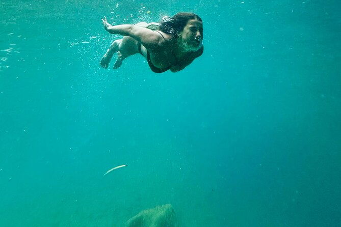 discover-valencias-magical-nature-2