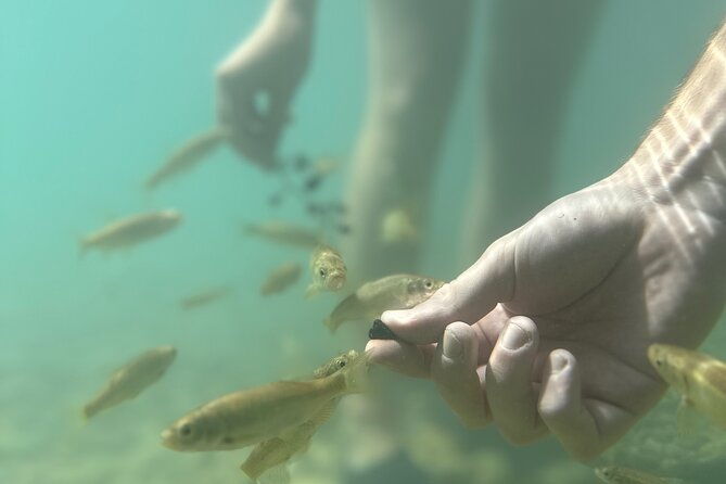 discover-valencias-magical-nature-3