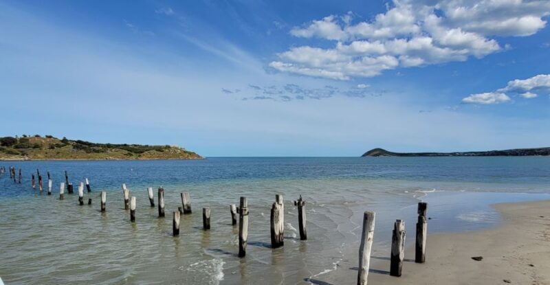 Discover Victor Harbor Guided Walking Tour - Starting Point and First Impressions