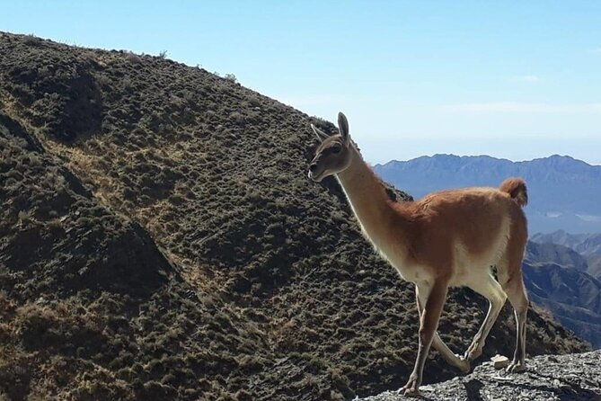 discover-villavicencio-natural-reserve-half-day-adventure