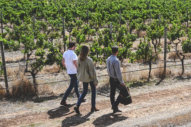 Discover Voyager Tour and Wine Tasting - Key Points