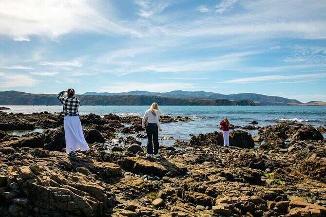 Discover Wellington 3 hour City Tour - The Itinerary in Detail