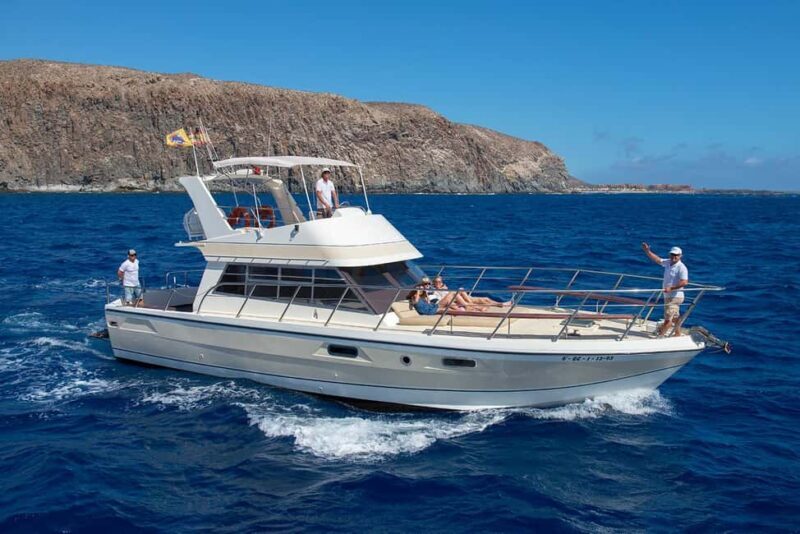 Discover whales in Tenerife: exclusive yacht tour with swimming and lunch. - Why This Tour Is a Must-Do for Marine Enthusiasts