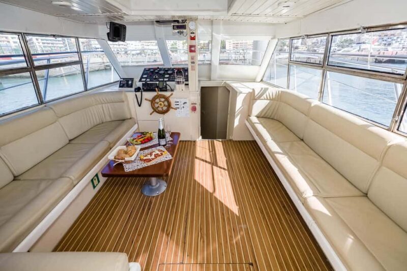 Discover whales in Tenerife: exclusive yacht tour with swimming and lunch. - FAQ
