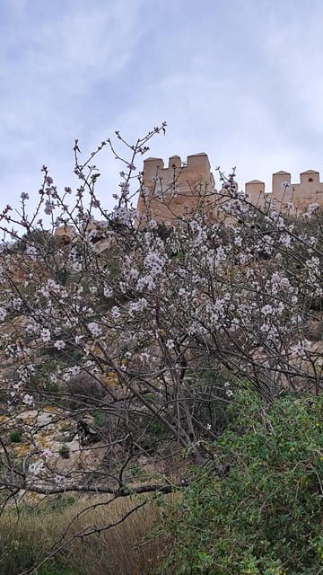 discovering-almeria-a-journey-through-history-and-culture