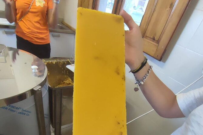 discovering-bees-in-volterra